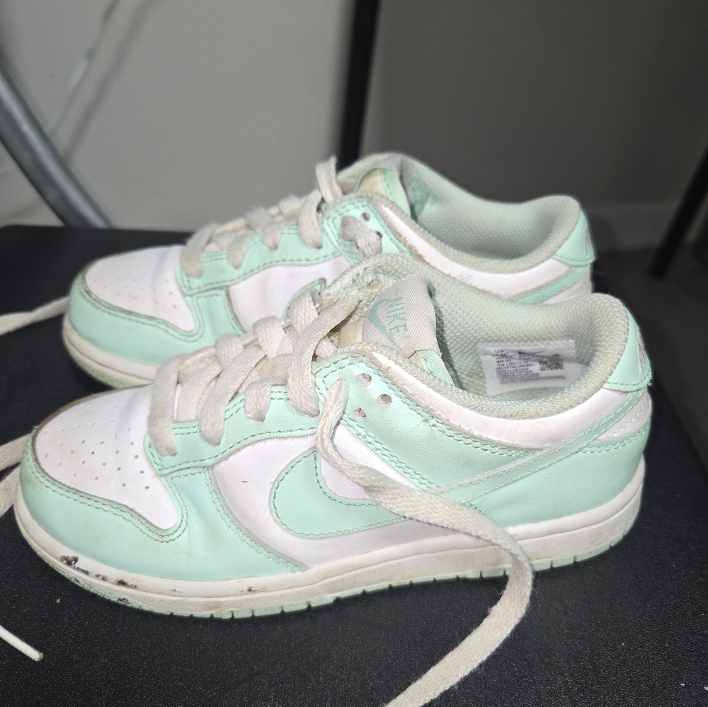 Mint Nike Dunks